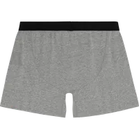 StringKing Men's Pima Cotton Boxer Briefs - Heather Gray, Back