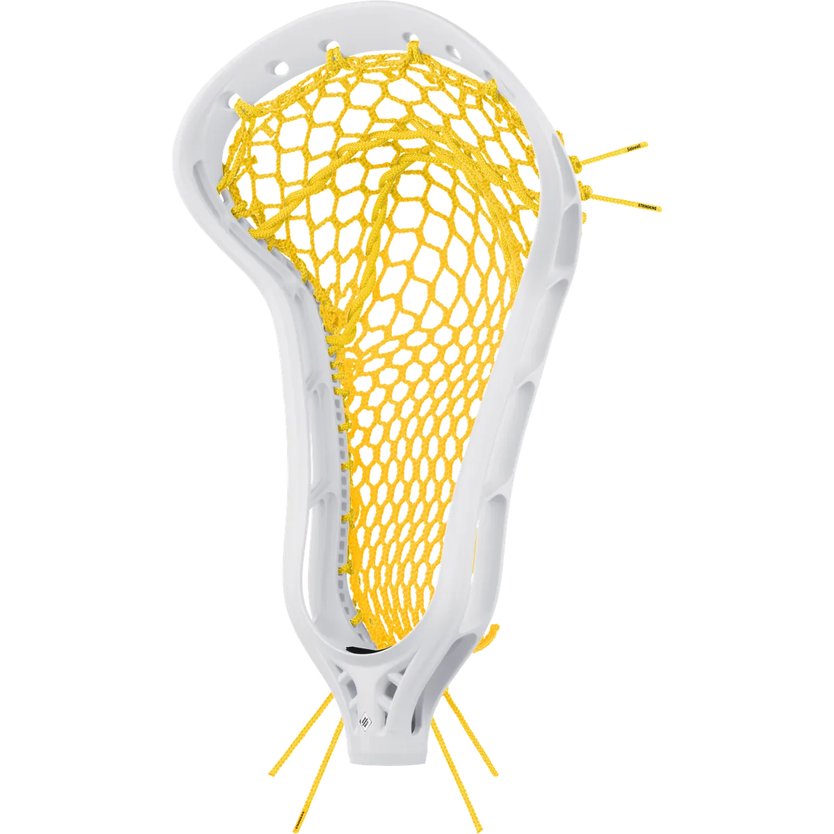 StringKing , Strung, Angled Front