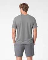 StringKing Men's Pima Terry V-Neck Tee - Relaxed Fit, Frost Gray, Full Back - Human Model - Top of head to Mid-thigh