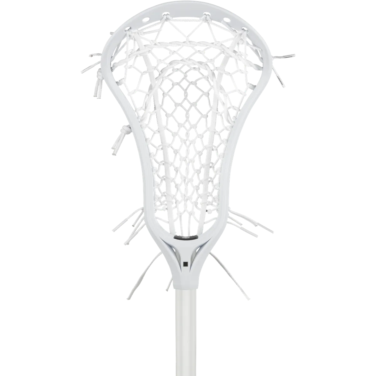 StringKing Women's Complete, Face