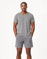 StringKing Men's Pima Terry V-Neck Tee - Relaxed Fit, Frost Gray, Full Front - Human Model - Top of head to Knees