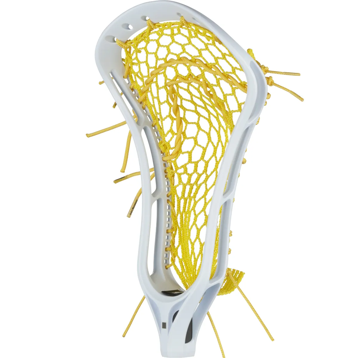 StringKing Women's Legend, Strung, Angled Front