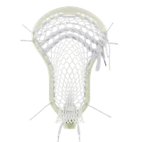 StringKing Mark 3V, Strung, Back