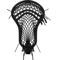 StringKing Mark 3V, Strung, Back
