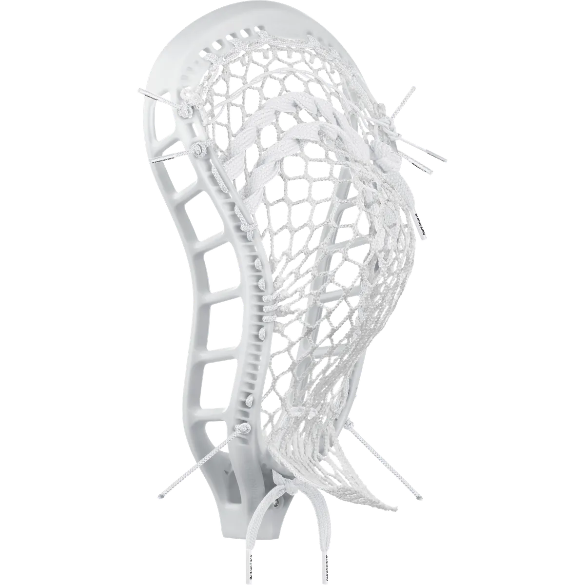 StringKing Mark 3D, Strung, Angled Back