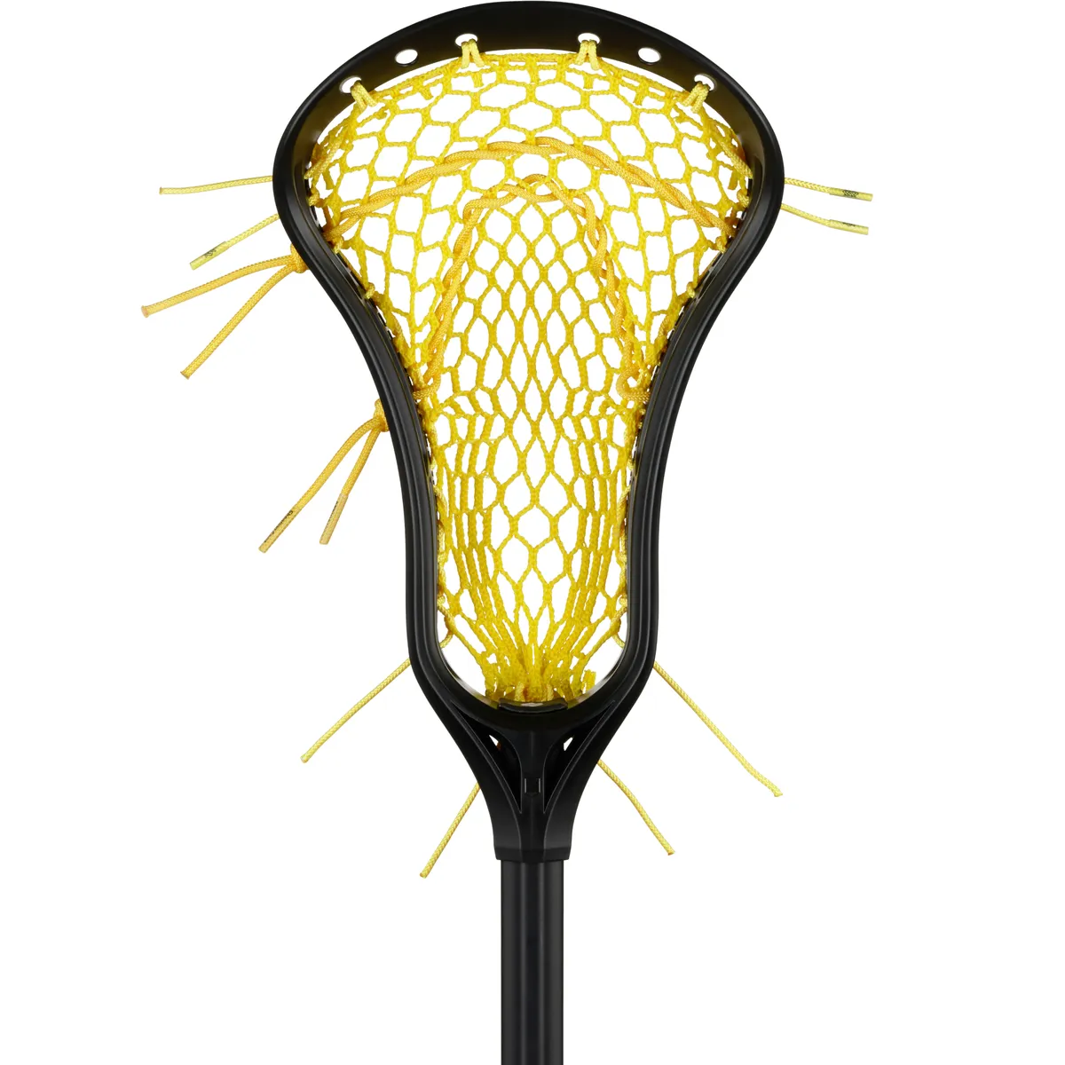 StringKing Women's Complete, Face