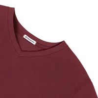StringKing Men's FlexStyle Short Sleeve V-Neck T-Shirt - Relaxed Fit, Rhubarb, Detail