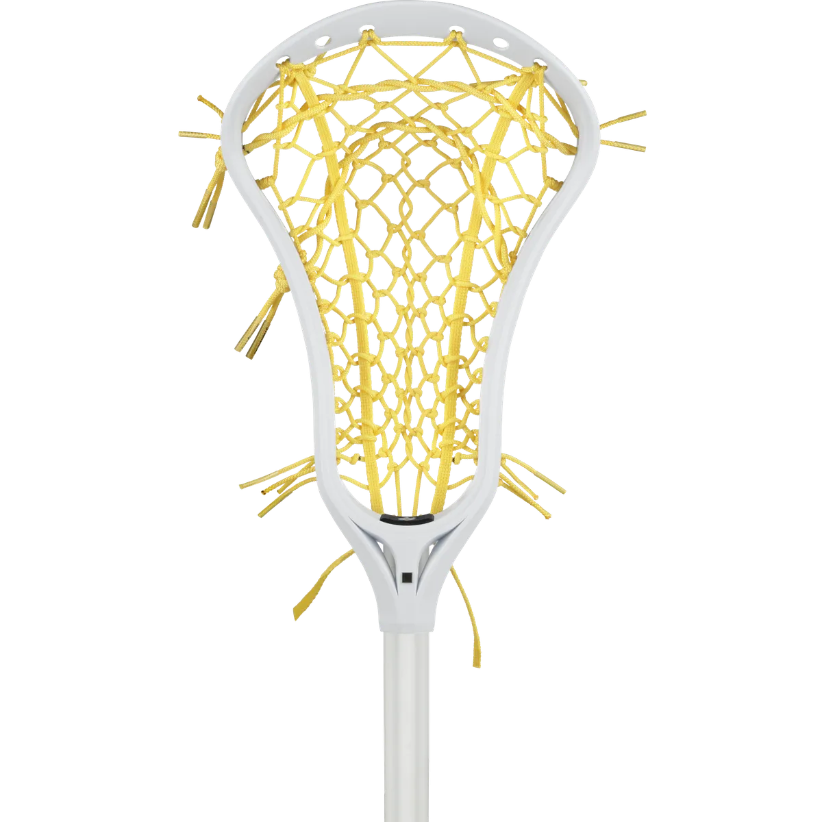StringKing Women's Complete, Face