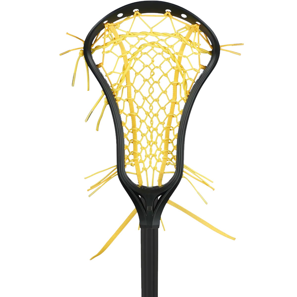StringKing Women's Complete, Face