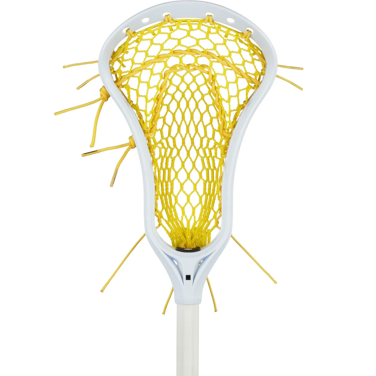 StringKing Women's Complete, Face