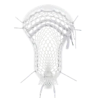 StringKing Mark 3V, Strung, Back
