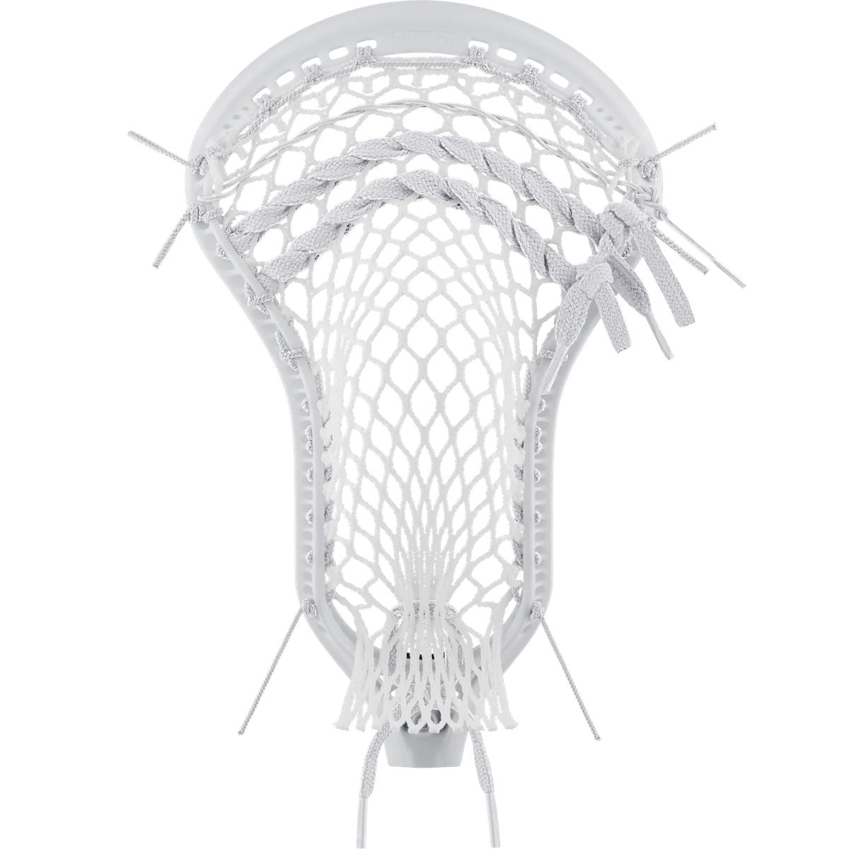 StringKing Mark 3V, Strung, Back