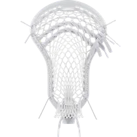 StringKing Mark 3V, Strung, Back